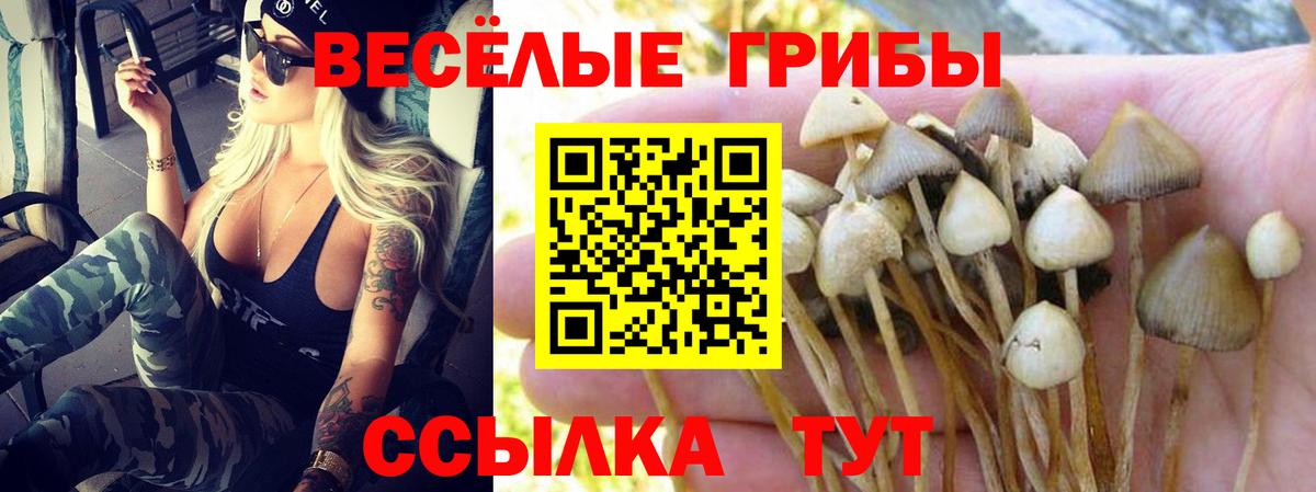 Назарово  Галлюциногенные грибы MAGIC MUSHROOMS  Вход с VPN 